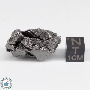 Campo del Cielo Meteorite Crystal 25.6g