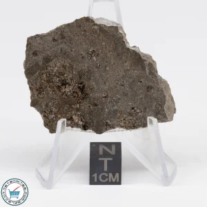 Jikharra 001 Eucrite-melt breccia Meteorite 11.4g