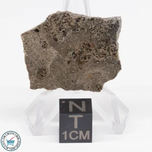 Jikharra 001 Eucrite-melt breccia Meteorite 5.8g