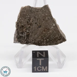 Jikharra 001 Eucrite-melt breccia Meteorite 5.9g
