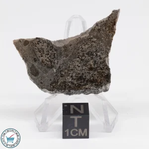 Jikharra 001 Eucrite-melt breccia Meteorite 7.0g