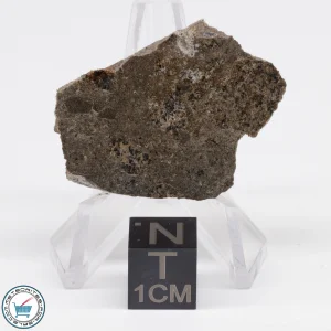 Jikharra 001 Eucrite-melt breccia Meteorite 5.2g