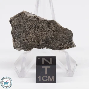 Jikharra 001 Eucrite-melt breccia Meteorite 4.5g