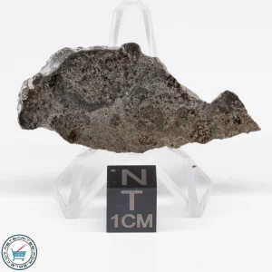 Jikharra 001 Eucrite-melt breccia Meteorite 6.4g