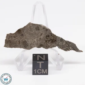 Jikharra 001 Eucrite-melt breccia Meteorite 4.3g