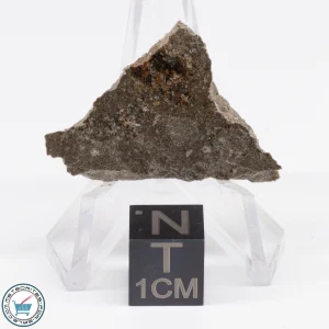 Jikharra 001 Eucrite-melt breccia Meteorite 3.3g