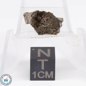 Jikharra 001 Eucrite-melt breccia Meteorite 0.8g