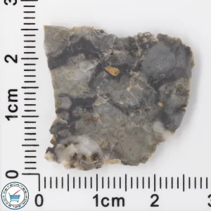 Adrar 013 Lunar Meteorite 2.31g Slice