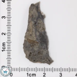 Adrar 013 Lunar Meteorite 3.02g End-Cut
