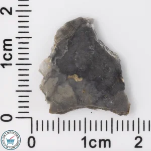 Adrar 013 Lunar Meteorite 0.99g Slice