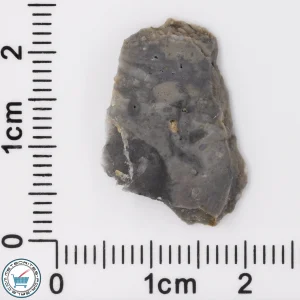 Adrar 013 Lunar Meteorite 1.10g Slice