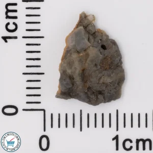 Adrar 013 Lunar Meteorite 0.41g End-Cut
