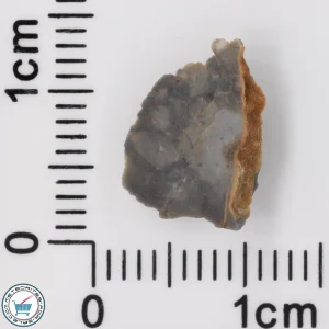 Adrar 013 Lunar Meteorite 0.41g End-Cut