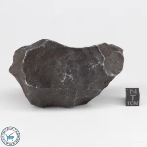 Gebel Kamil Iron Meteorite 486.4g