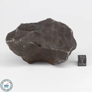 Gebel Kamil Iron Meteorite 486.4g