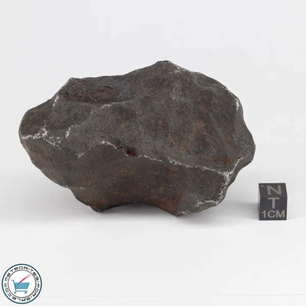 Gebel Kamil Iron Meteorite 486.4g