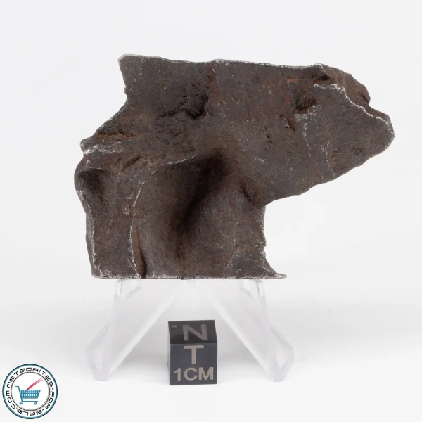 Gebel Kamil Iron Meteorite 185.7g