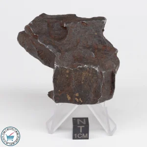 Gebel Kamil Iron Meteorite 185.7g