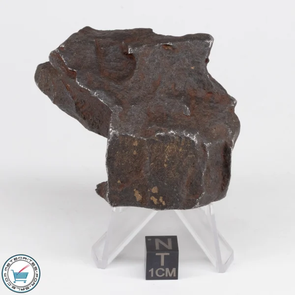 Gebel Kamil Iron Meteorite 185.7g