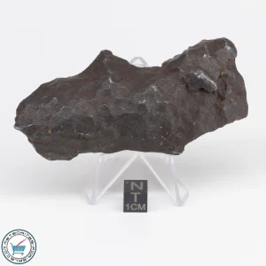 Gebel Kamil Iron Meteorite 211.3g