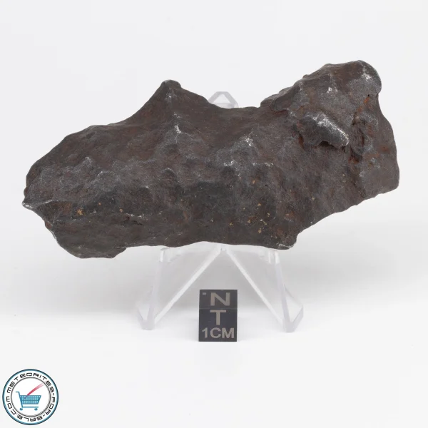 Gebel Kamil Iron Meteorite 211.3g