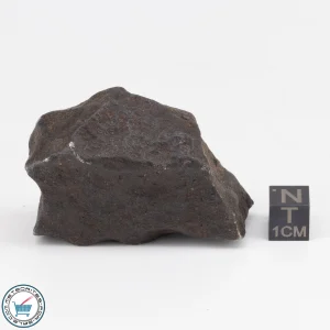 Gebel Kamil Iron Meteorite 187.2g