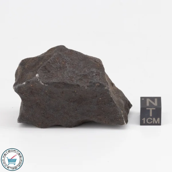 Gebel Kamil Iron Meteorite 187.2g