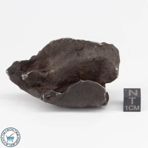 Gebel Kamil Meteorite | Meteorite Exchange, Inc.