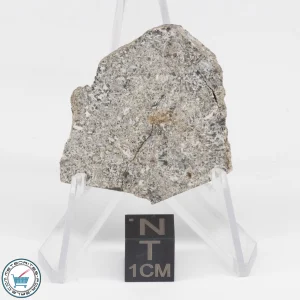 NWA 12932 Meteorite 7.7g