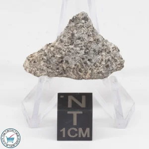NWA 12932 Meteorite 1.9g