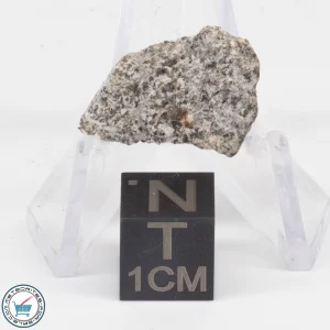 NWA 12932 Meteorite 1.3g