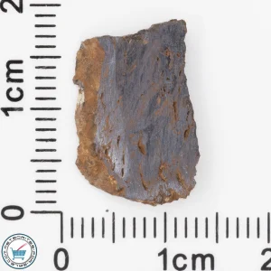Pierceville Iron Meteorite 1.26g Fragment