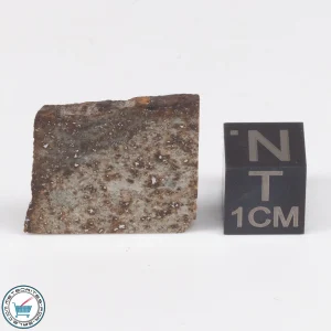 Tank Mountains Meteorite 3.4g Slice