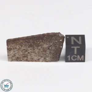 Tank Mountains Meteorite 3.8g  Slice