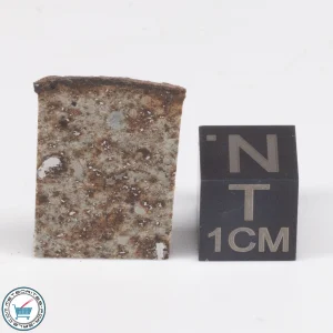 Tank Mountains Meteorite 2.9g  Slice