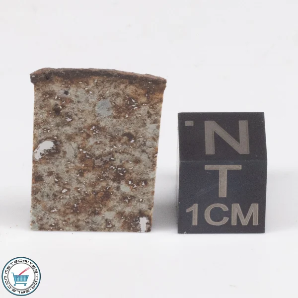 Tank Mountains Meteorite 2.9g  Slice