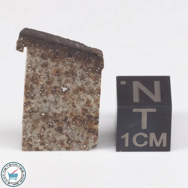 Tank Mountains Meteorite 3.0g  Slice