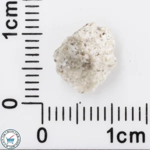 Wabar Impactite 0.30g
