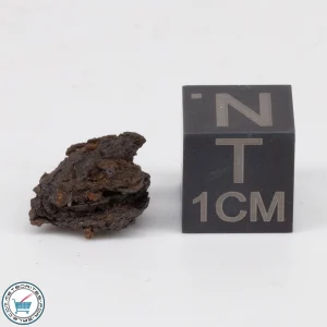 Wabar Iron Meteorite 0.81g