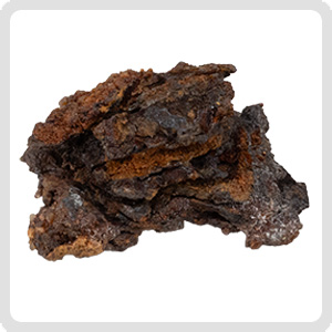 Wabar Iron Meteorite