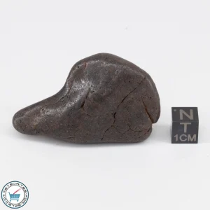 NWA 6947 Meteorite 57.1g Tumbled