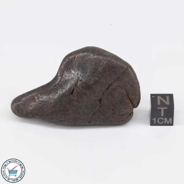 NWA 6947 Meteorite 57.1g Tumbled