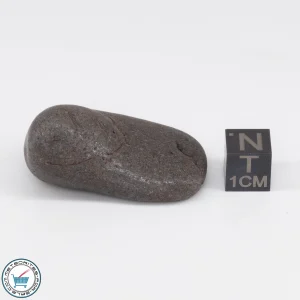 NWA 6947 Meteorite 26.3g Tumbled