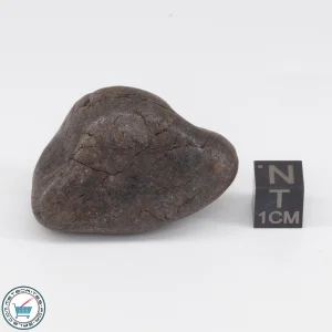 NWA 6947 Meteorite 45.8g Tumbled