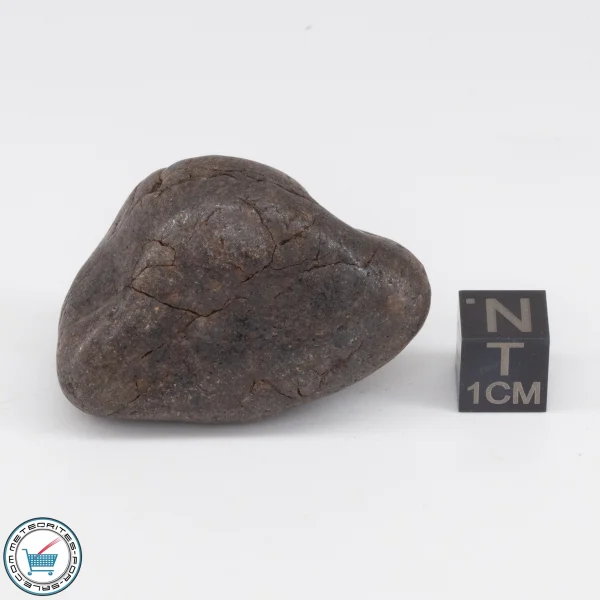NWA 6947 Meteorite 45.8g Tumbled