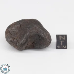 NWA 6947 Meteorite 51.4g Tumbled