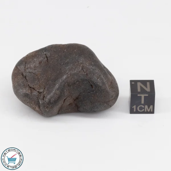 NWA 6947 Meteorite 51.4g Tumbled