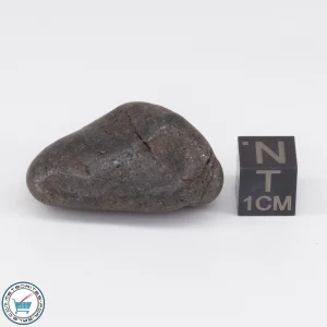 NWA 6947 Meteorite 17.9g Tumbled