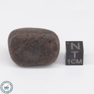 NWA 6947 Meteorite 21.1g Tumbled