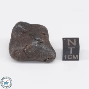 NWA 6947 Meteorite 17.5g Tumbled